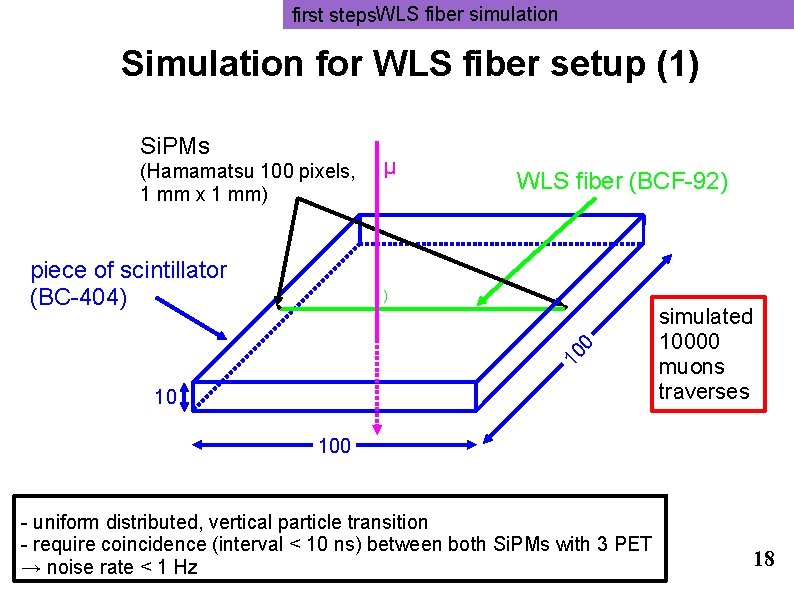 first steps. WLS fiber simulation Simulation for WLS fiber setup (1) Si. PMs (Hamamatsu