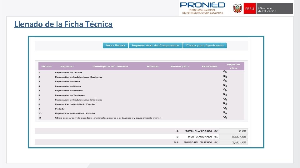 Llenado de la Ficha Técnica 