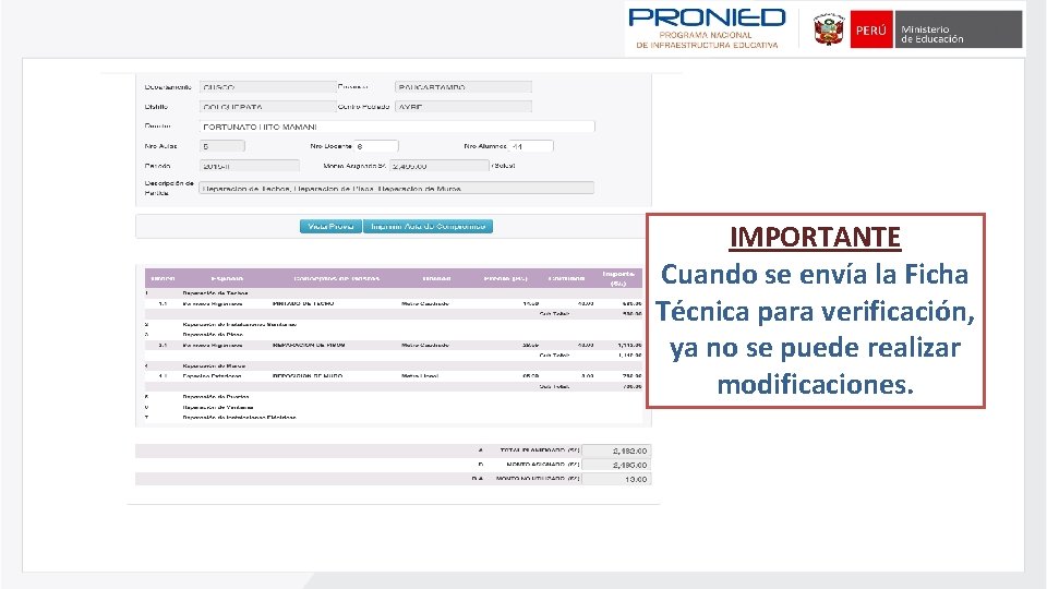 IMPORTANTE Cuando se envía la Ficha Técnica para verificación, ya no se puede realizar