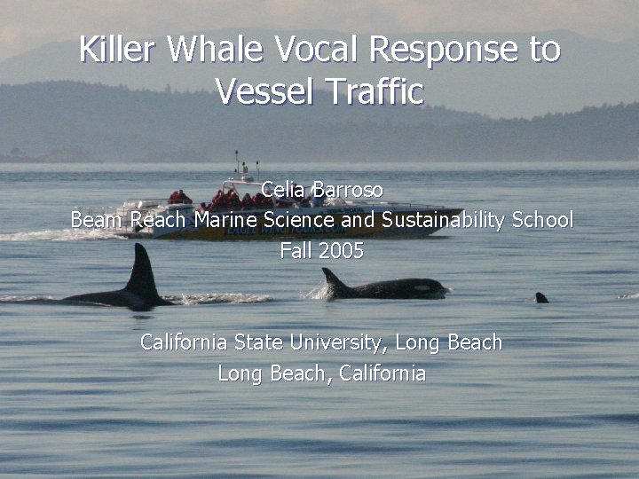 Killer Whale Vocal Response to Vessel Traffic Celia Barroso Beam Reach Marine Science and