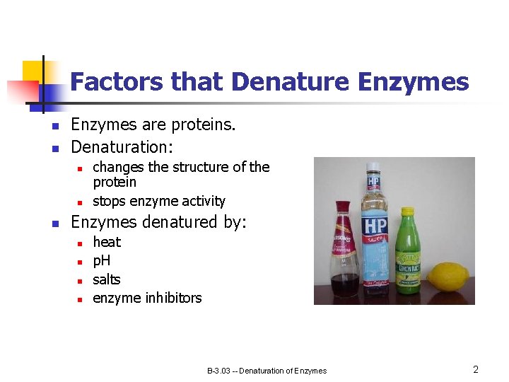 Factors that Denature Enzymes n n Enzymes are proteins. Denaturation: n n n changes