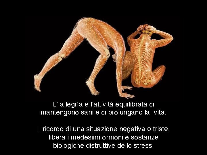 L’ allegría e l’attività equilibrata ci mantengono sani e ci prolungano la vita. Il