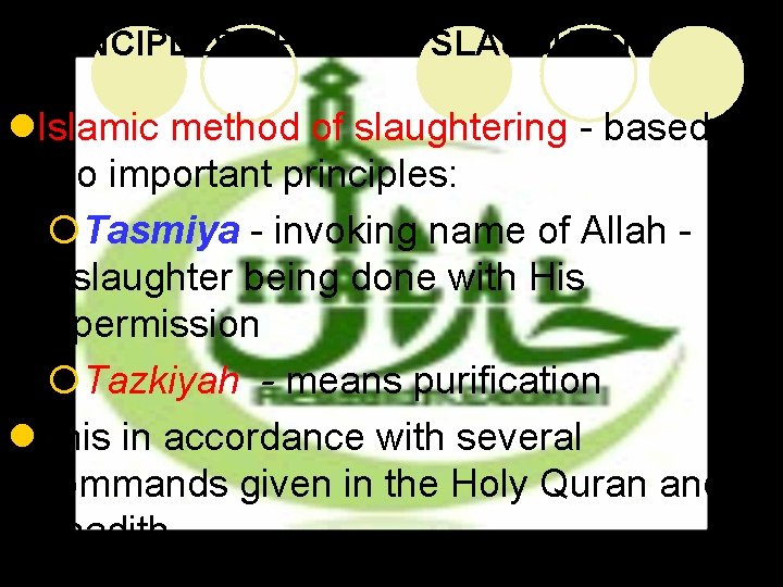 PRINCIPLES OF HALAL SLAUGHTER l. Islamic method of slaughtering - based on two important