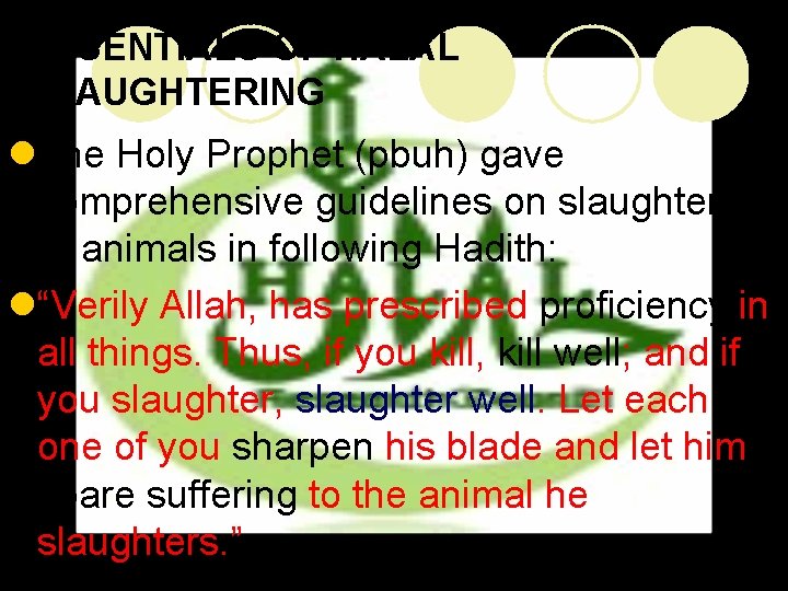 ESSENTIALS OF HALAL SLAUGHTERING l. The Holy Prophet (pbuh) gave comprehensive guidelines on slaughtering