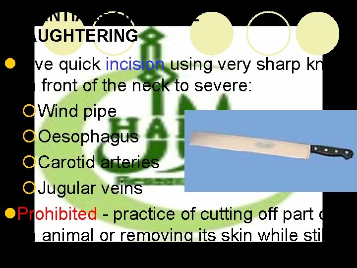 ESSENTIALS OF HALAL SLAUGHTERING l. Give quick incision using very sharp knife on front