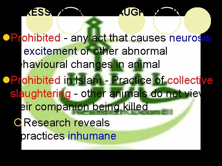 STRESS PRIOR TO SLAUGHTERING l. Prohibited - any act that causes neurosis or excitement