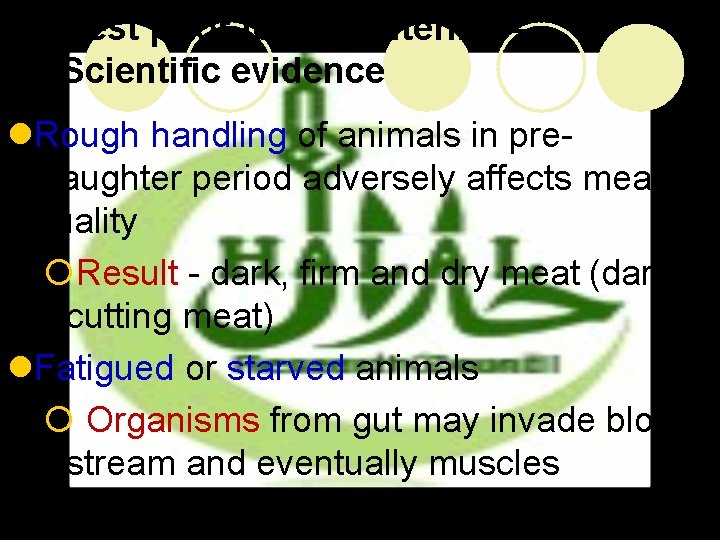 Rest prior to slaughtering – Scientific evidence l. Rough handling of animals in preslaughter