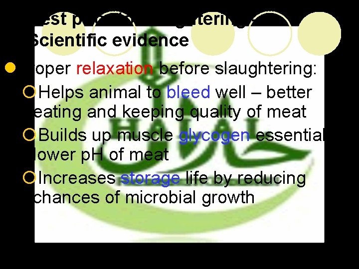 Rest prior to slaughtering – Scientific evidence l. Proper relaxation before slaughtering: ¡Helps animal