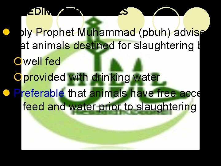 FEEDING THE ANIMALS l. Holy Prophet Muhammad (pbuh) advised that animals destined for slaughtering