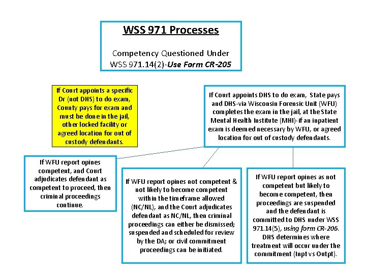 WSS 971 Processes Competency Questioned Under WSS 971. 14(2)-Use Form CR-205 If Court appoints