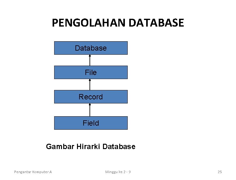 PENGOLAHAN DATABASE Database File Record Field Gambar Hirarki Database Pengantar Komputer A Minggu ke