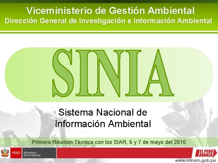 Viceministerio de Gestión Ambiental Dirección General de Investigación e Información Ambiental Sistema Nacional de