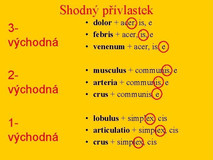 Shodný přívlastek 3 východná • dolor + acer, is, e • febris + acer,