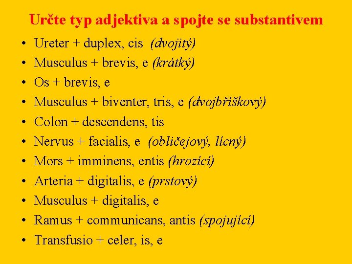 Určte typ adjektiva a spojte se substantivem • • • Ureter + duplex, cis