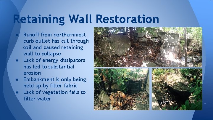 Retaining Wall Restoration ● Runoff from northernmost curb outlet has cut through soil and
