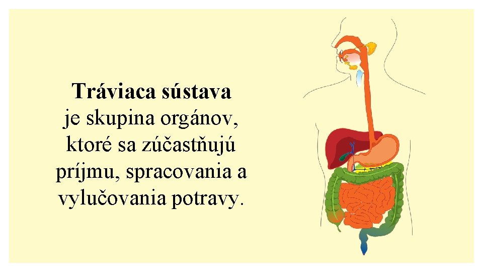 Tráviaca sústava je skupina orgánov, ktoré sa zúčastňujú príjmu, spracovania a vylučovania potravy. 