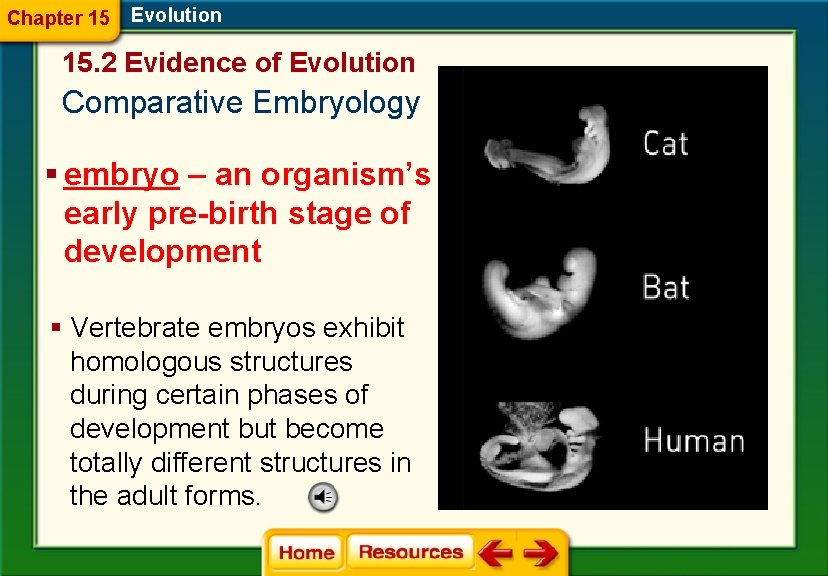 Chapter 15 Evolution 15. 2 Evidence of Evolution Comparative Embryology § embryo – an