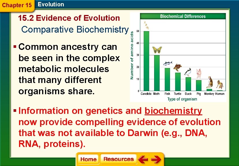 Chapter 15 Evolution 15. 2 Evidence of Evolution Comparative Biochemistry § Common ancestry can