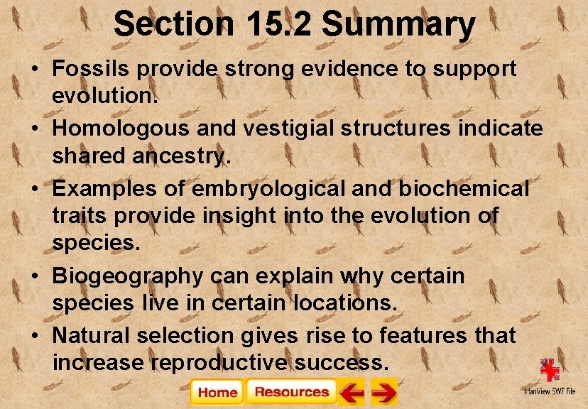 Section 15. 2 Summary • Fossils provide strong evidence to support evolution. • Homologous