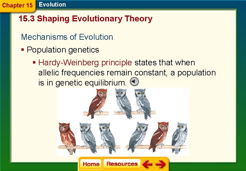 Chapter 15 Evolution 15. 3 Shaping Evolutionary Theory Mechanisms of Evolution § Population genetics