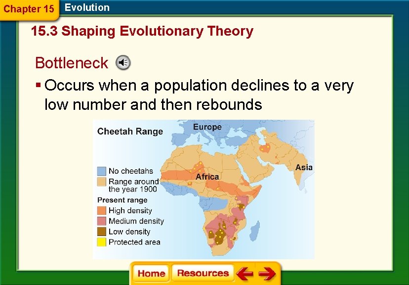 Chapter 15 Evolution 15. 3 Shaping Evolutionary Theory Bottleneck § Occurs when a population