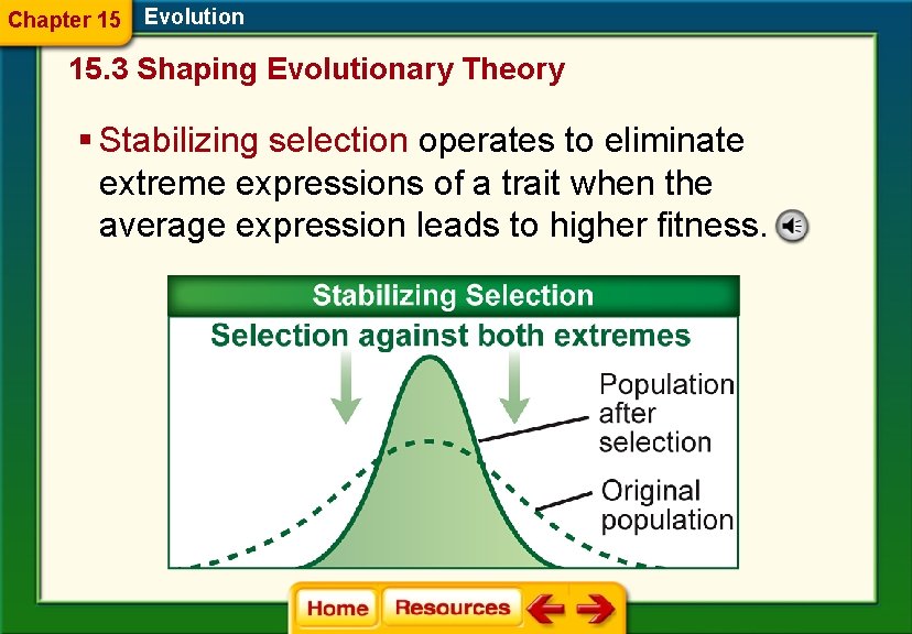 Chapter 15 Evolution 15. 3 Shaping Evolutionary Theory § Stabilizing selection operates to eliminate