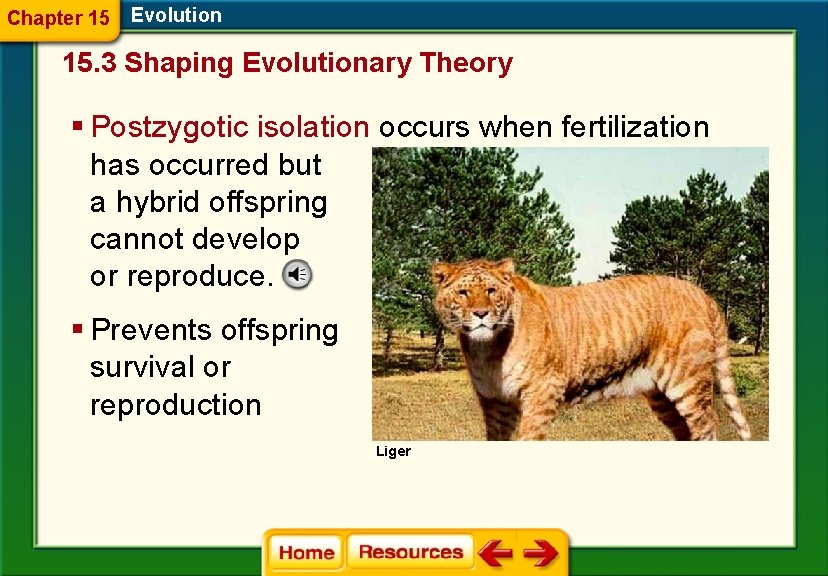 Chapter 15 Evolution 15. 3 Shaping Evolutionary Theory § Postzygotic isolation occurs when fertilization