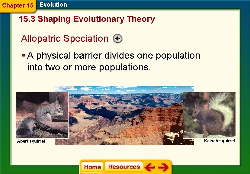 Chapter 15 Evolution 15. 3 Shaping Evolutionary Theory Allopatric Speciation § A physical barrier
