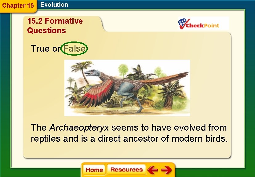 Chapter 15 Evolution 15. 2 Formative Questions True or False The Archaeopteryx seems to