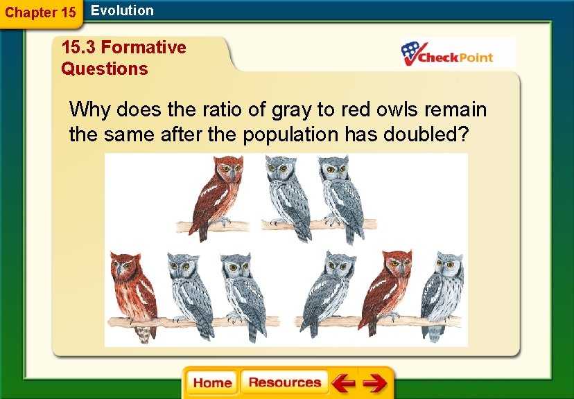 Chapter 15 Evolution 15. 3 Formative Questions Why does the ratio of gray to