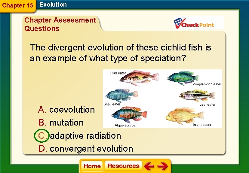 Chapter 15 Evolution Chapter Assessment Questions The divergent evolution of these cichlid fish is
