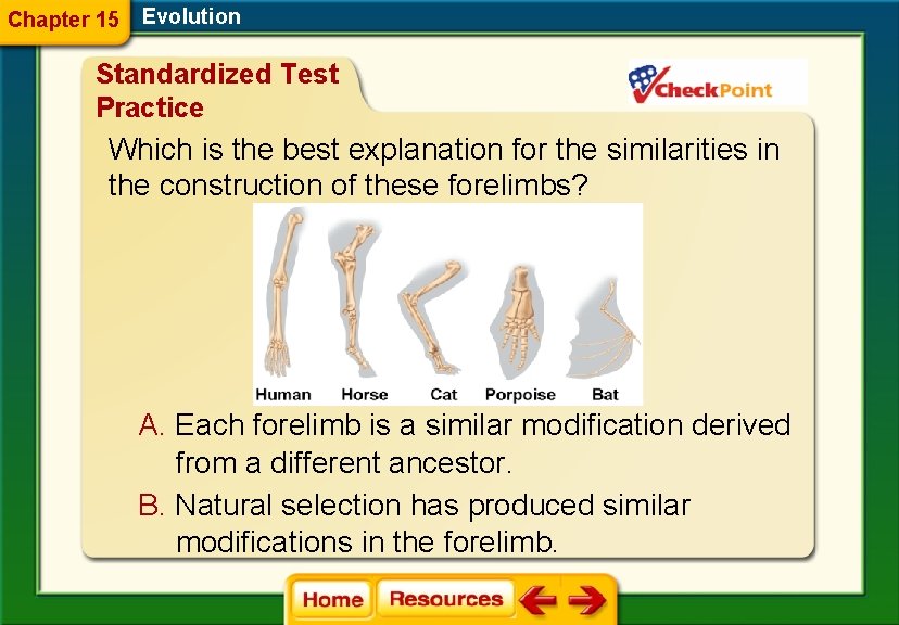 Chapter 15 Evolution Standardized Test Practice Which is the best explanation for the similarities