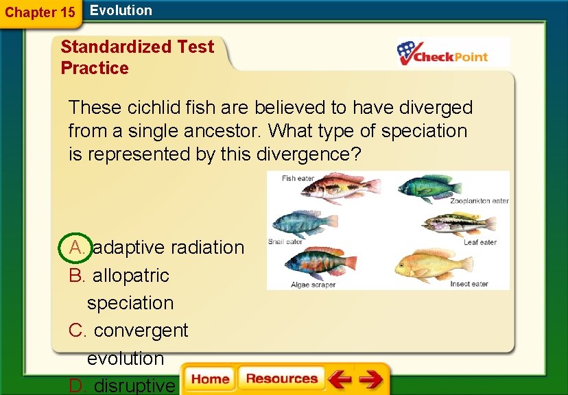 Chapter 15 Evolution Standardized Test Practice These cichlid fish are believed to have diverged
