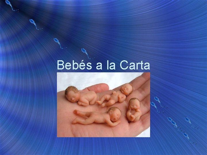 Bebés a la Carta 