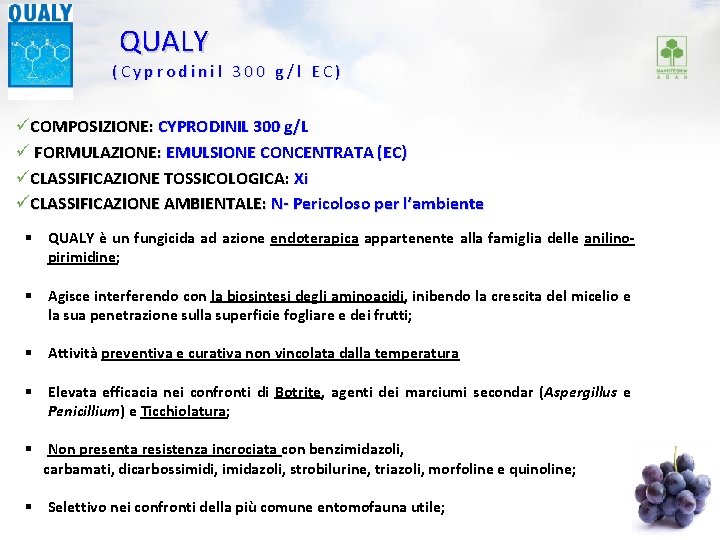 QUALY (Cyprodinil 300 g/l EC) üCOMPOSIZIONE: CYPRODINIL 300 g/L ü FORMULAZIONE: EMULSIONE CONCENTRATA (EC)