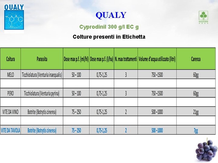 QUALY Cyprodinil 300 g/l EC g Colture presenti in Etichetta 