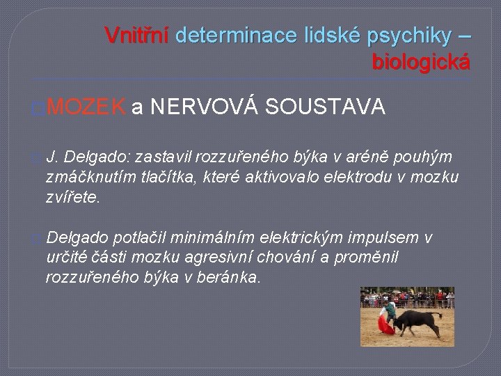 Vnitřní determinace lidské psychiky – biologická �MOZEK a NERVOVÁ SOUSTAVA � J. Delgado: zastavil