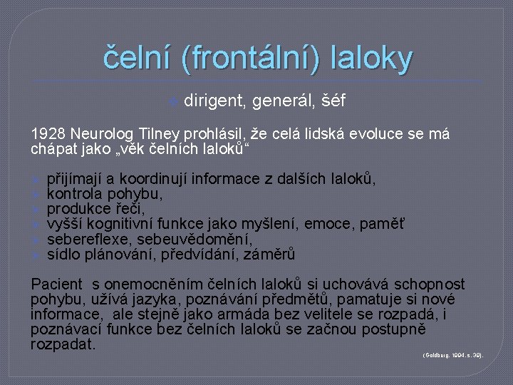 čelní (frontální) laloky v dirigent, generál, šéf 1928 Neurolog Tilney prohlásil, že celá lidská