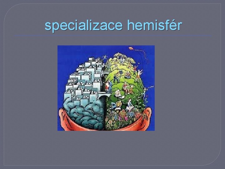 specializace hemisfér 