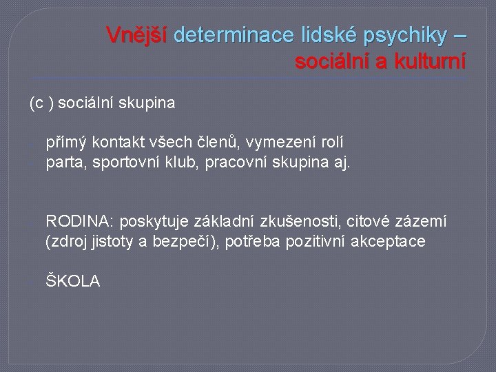 Vnější determinace lidské psychiky – sociální a kulturní (c ) sociální skupina - přímý