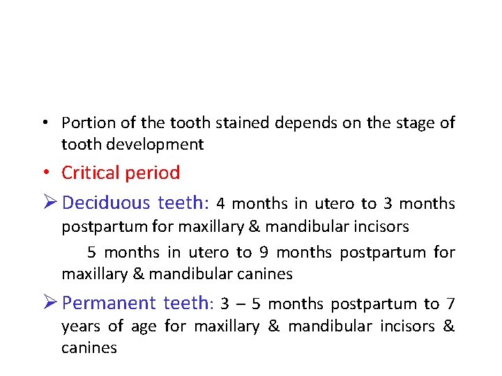  • Portion of the tooth stained depends on the stage of tooth development