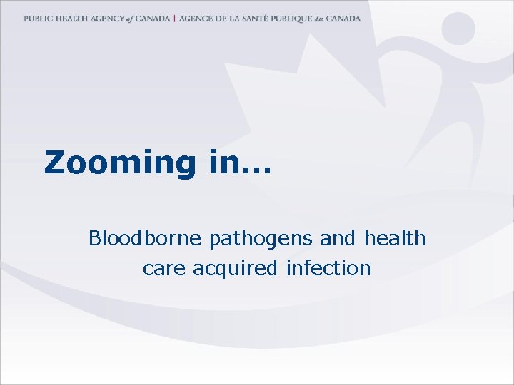 Zooming in… Bloodborne pathogens and health care acquired infection 