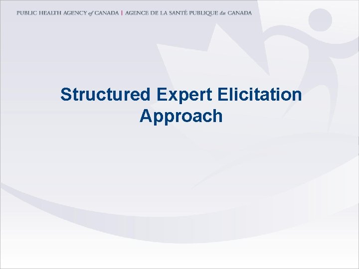 Structured Expert Elicitation Approach 