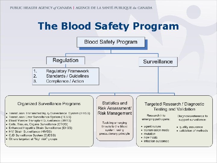 The Blood Safety Program 