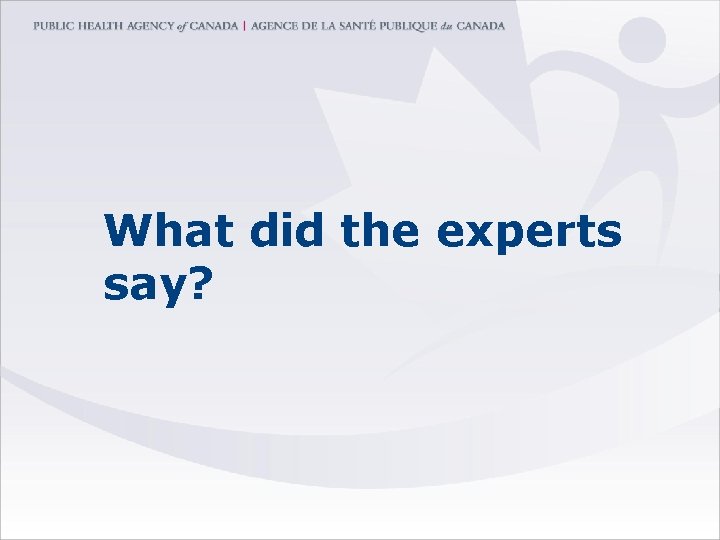 What did the experts say? 