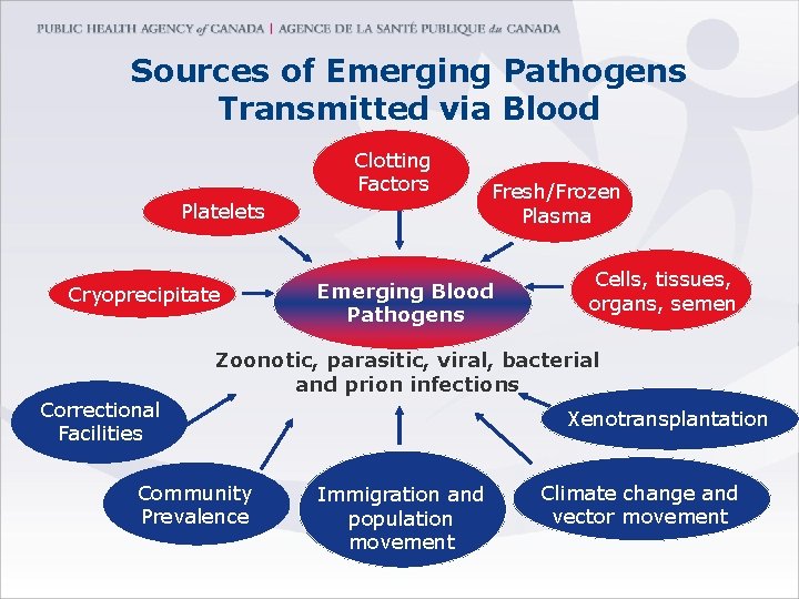 Sources of Emerging Pathogens Transmitted via Blood Clotting Factors Platelets Cryoprecipitate Fresh/Frozen Plasma Emerging