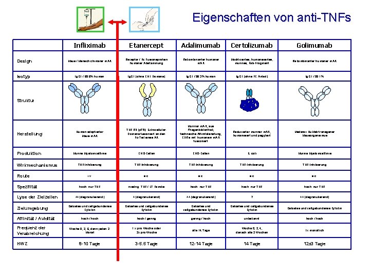 Eigenschaften von anti-TNFs Infliximab Etanercept Adalimumab Certolizumab Golimumab Design Maus / Mensch chimärer m.