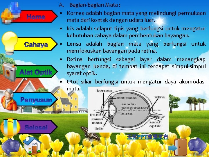 A. Bagian-bagian Mata : • Kornea adalah bagian mata yang melindungi permukaan mata dari