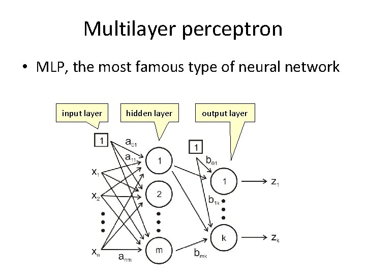 Multilayer perceptron • MLP, the most famous type of neural network input layer hidden
