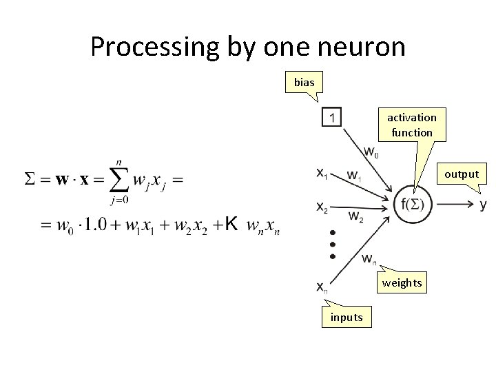 Processing by one neuron bias activation function output weights inputs 